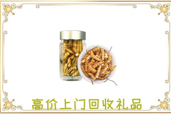 市中周边回收虫草